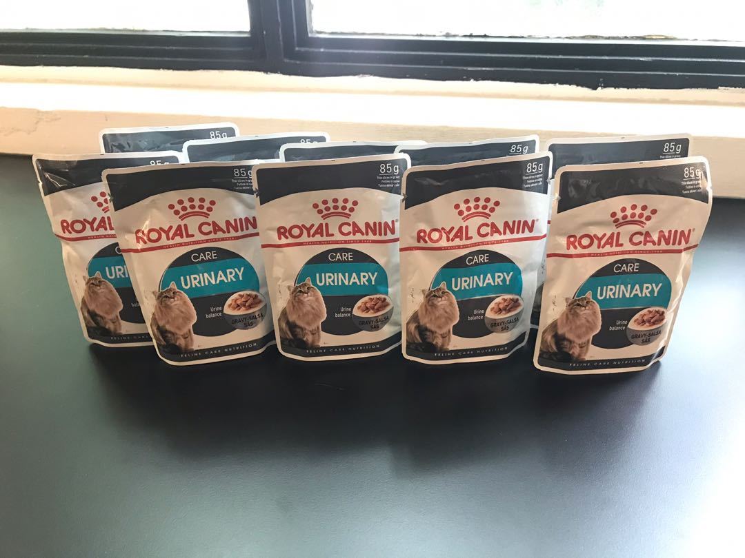 Royal Canin Urinary Cat Wet Food Pouches Pet Supplies For Small Animals Pet Food On Carousell
