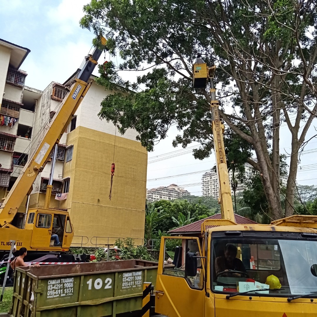 Service Potong Pokok Services Others On Carousell