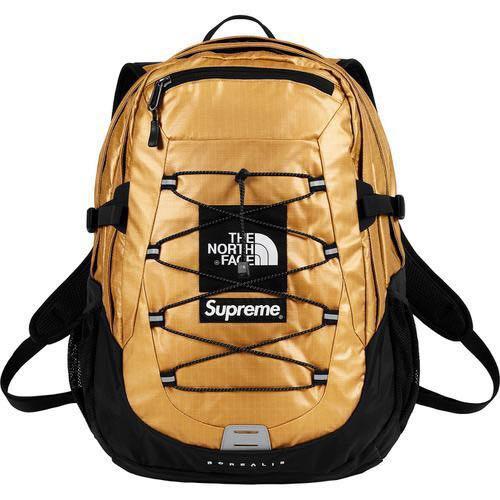 Supreme The North Face Metallic