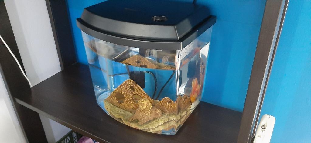 tabletop fish tank
