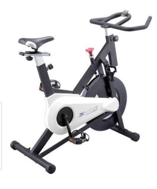 Xterra 350 best sale exercise bike