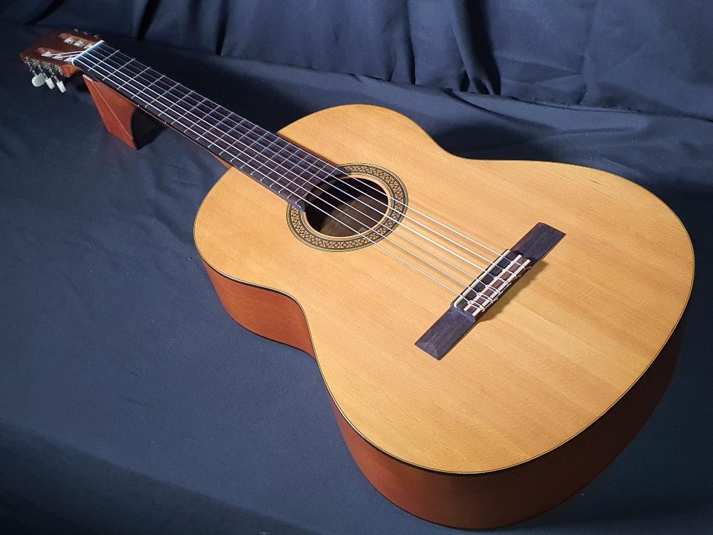 Yamaha cg online 101 price