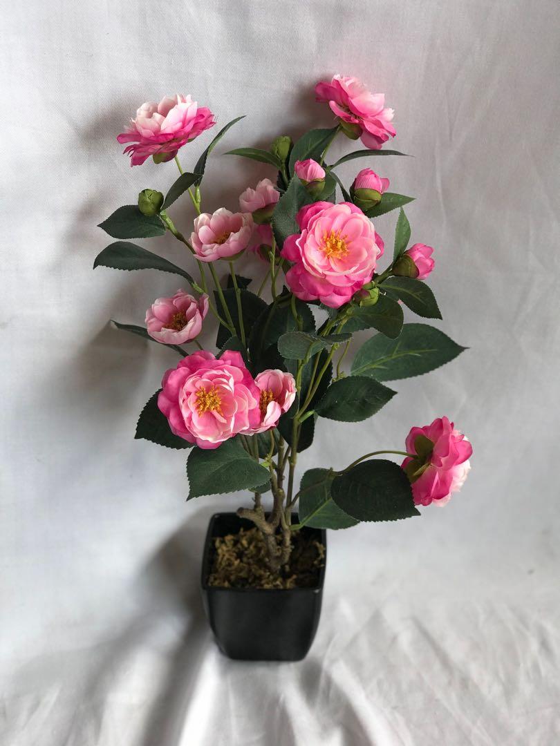 Artificial Camellias Plant in pot, Gardening, Plants on Carousell