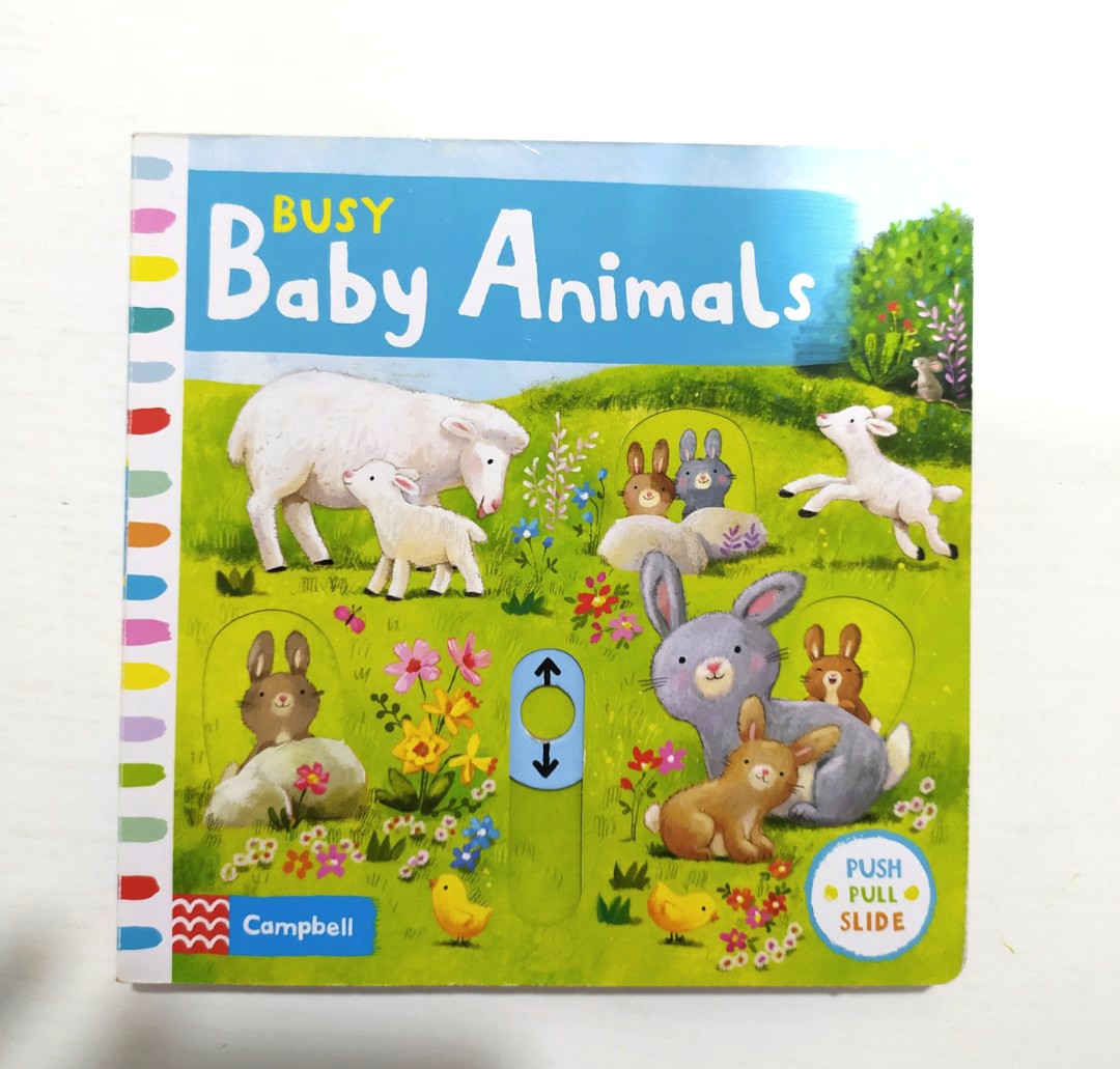 Campbell Busy Series Busy Baby Animals, Hobbies & Toys, Books