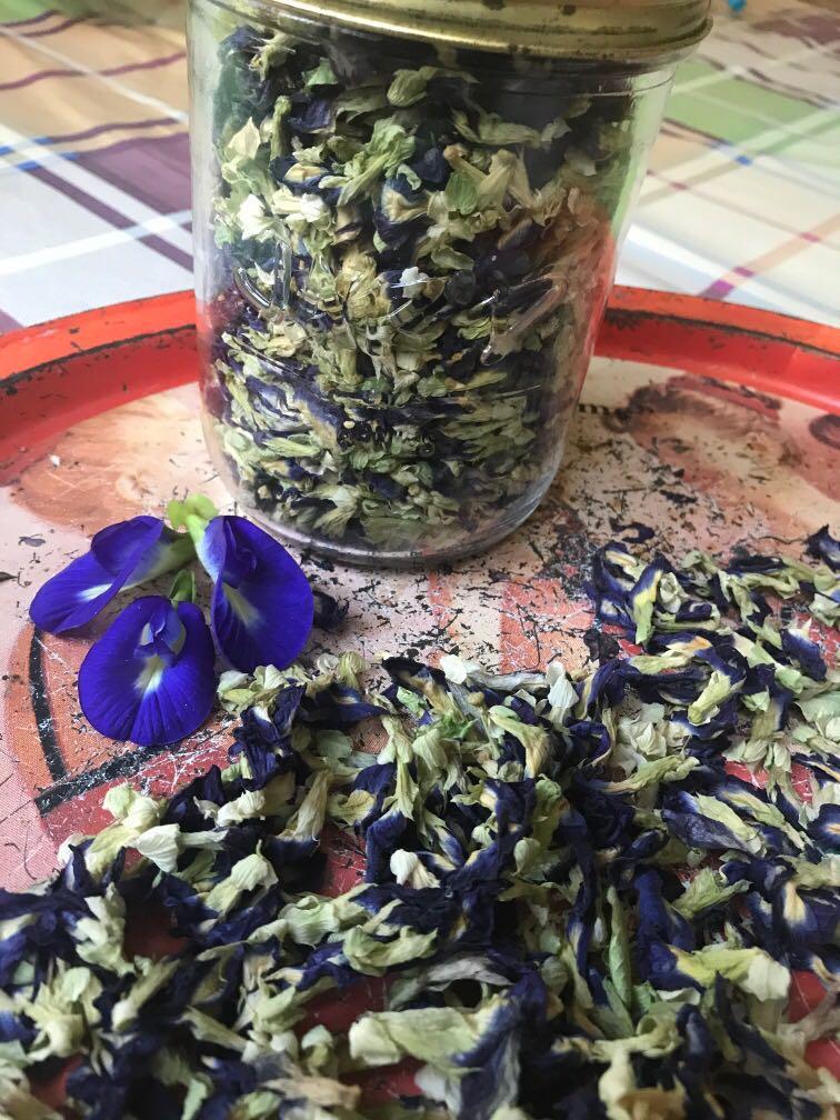 Dried or Fresh Blue Pea Flower for sale $2 for 10g ...