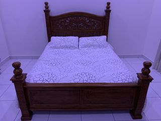 (Category: ) located in . Submitted by juwitashafiei (Listing ID 1010529039, Image 1). Description: .