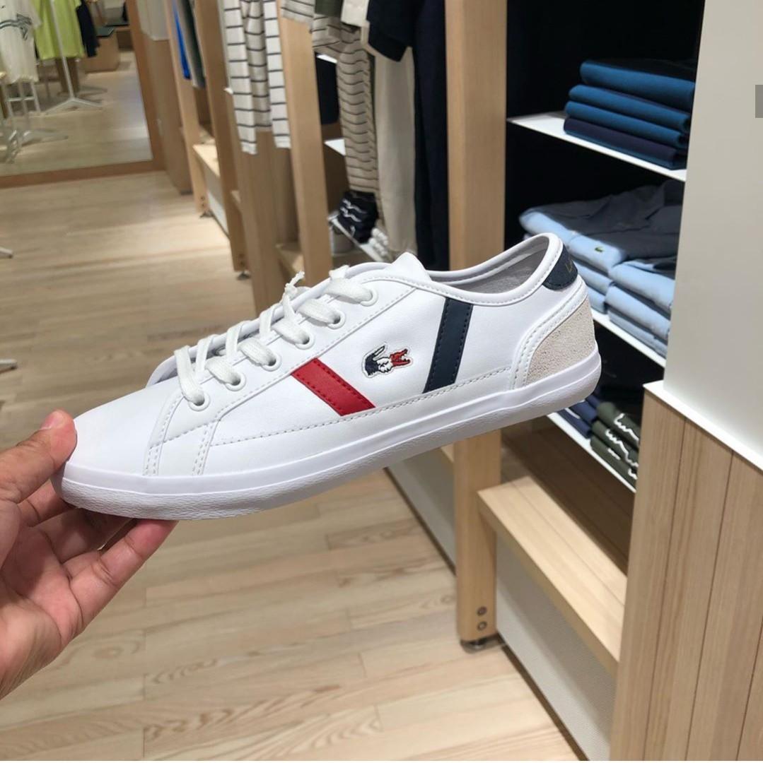 Vores firma dom Ord Lacoste Shoes, Women's Fashion, Footwear, Sneakers on Carousell