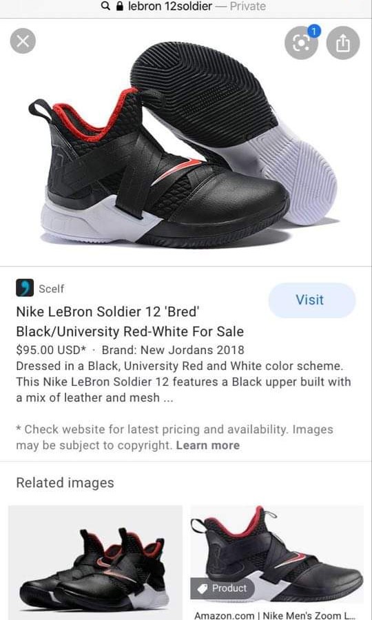 lebron soldier bred