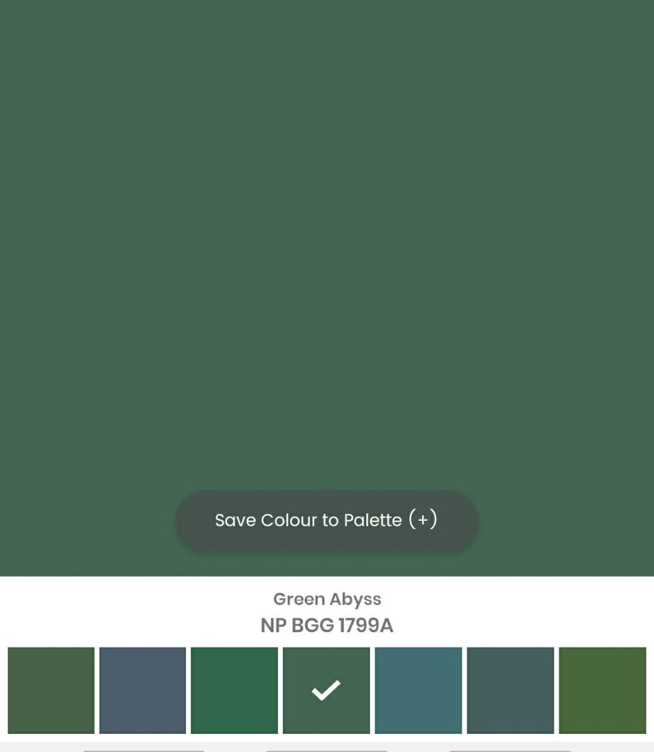 Nippon Paint Easy Wash 5l Green Abyss Hobbies Toys Stationery Craft Craft Supplies Tools On Carousell