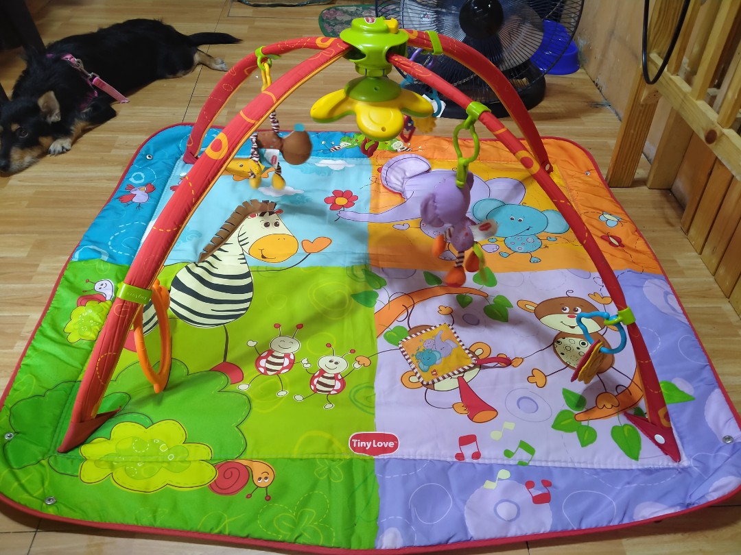 tiny love baby gym