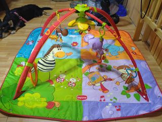 (Category: ) located in . Submitted by clarkchie (Listing ID 1010619435, Image 1). Description: .