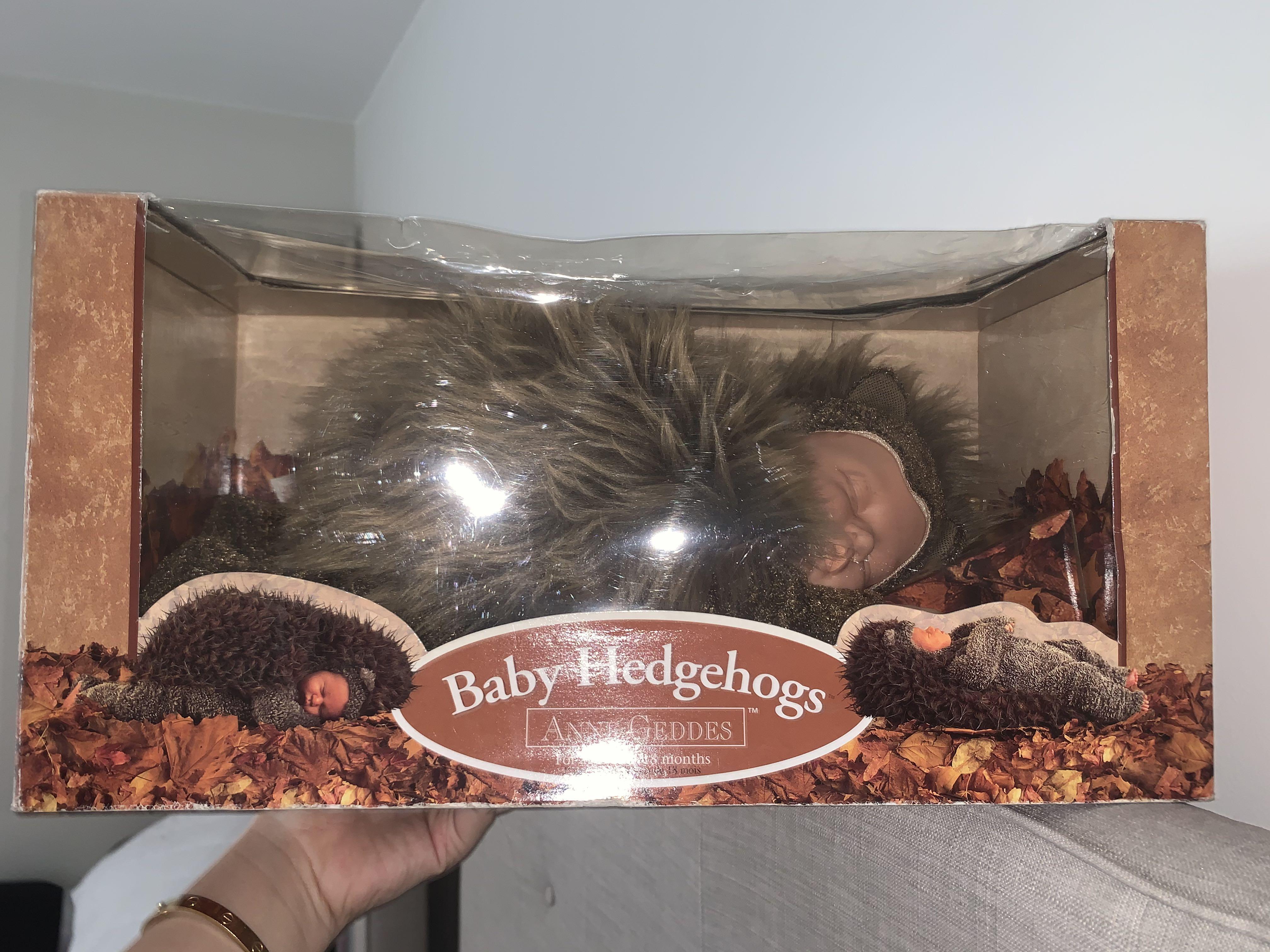 anne geddes hedgehog
