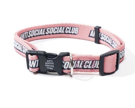 Dog collars for sale near me Outlet