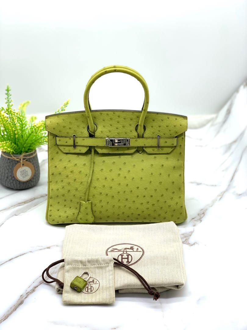 Hermes Birkin Handbag Green Ostrich with Palladium Hardware 30