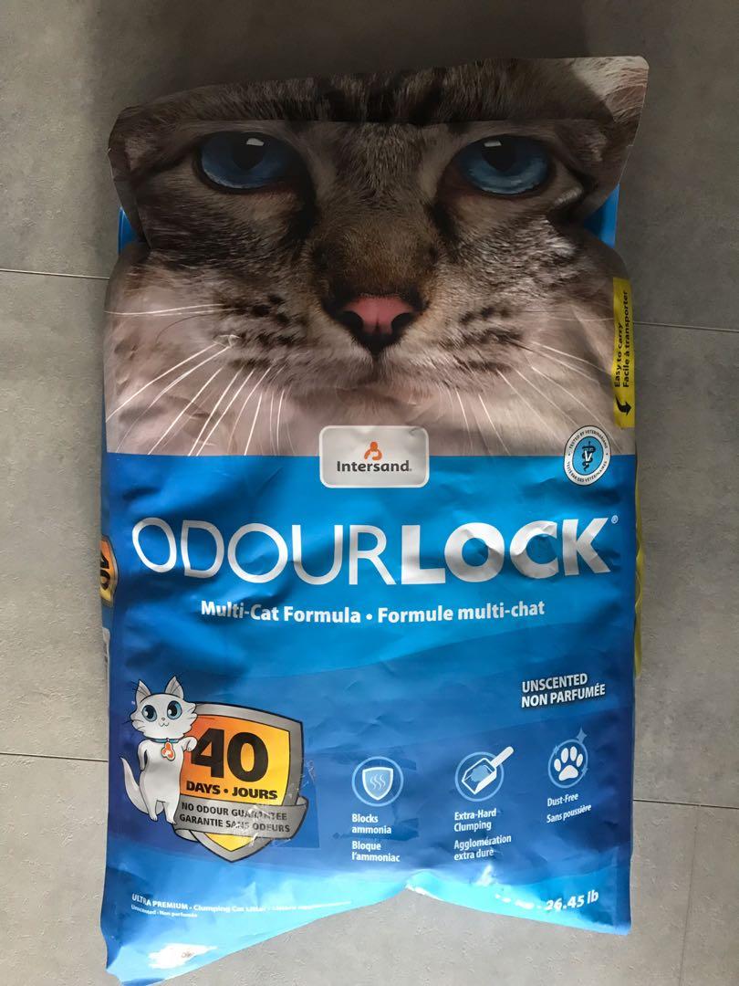 odourlock cat litter