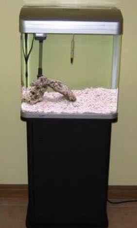 aquarium for sale