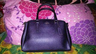 Authentic coach mini sage