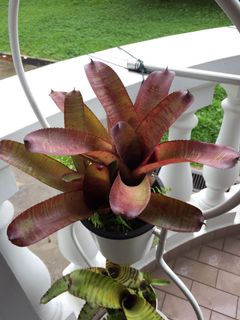(Category: ) located in . Submitted by amoeba001 (Listing ID 1015086208, Image 1). Description: .