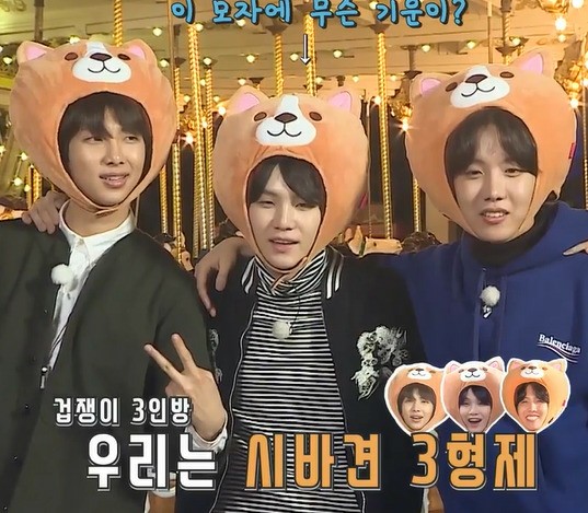 Bts online corgi hat
