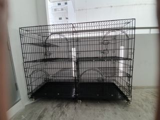 (Category: ) located in . Submitted by cattyawn (Listing ID 1015076657, Image 1). Description: .