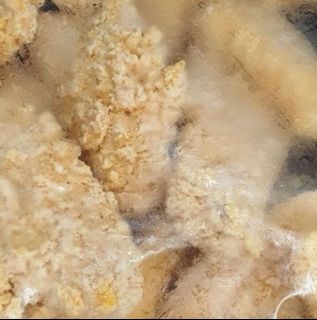 (Category: ) located in . Submitted by rsamurao (Listing ID 1015227904, Image 1). Description: .