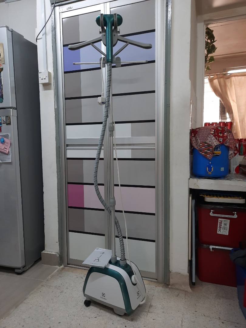 Electrolux Steam iron, Furniture & Home Living, Home Improvement