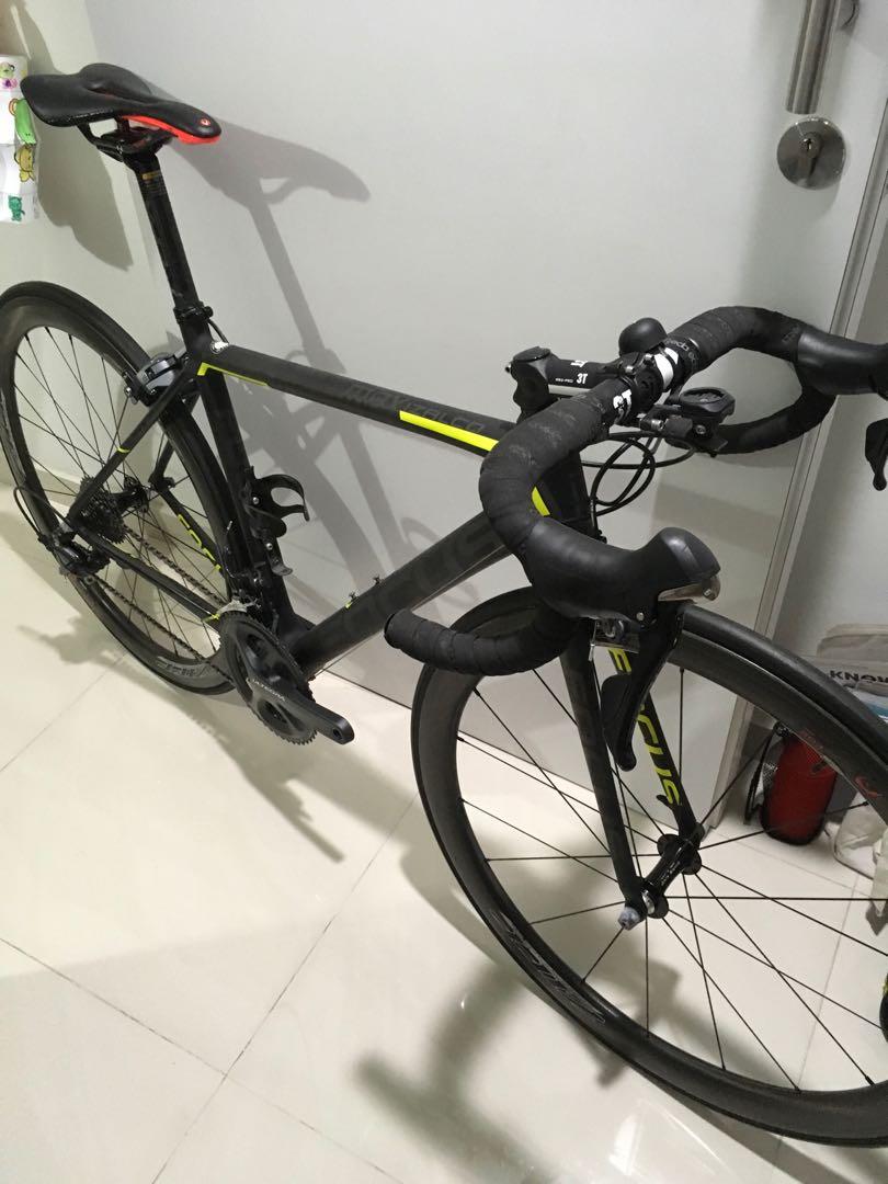 focus izalco max 2015