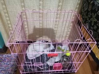 Pink medium dog crate new arrivals