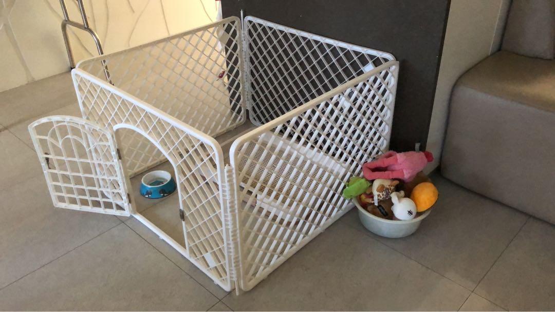 portuguese water dogs near me