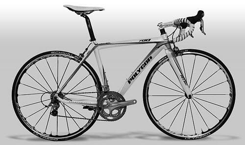 polygon road bike