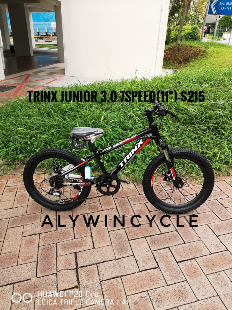 Trinx Junior 3.0 20" (11") mountain bike, Sports Equipment, Bicycles