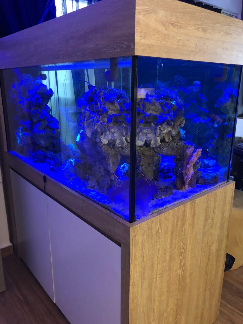 Marine tank for outlet sale