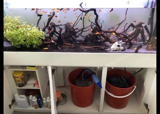 (Category: ) located in . Submitted by amk1982 (Listing ID 1015285734, Image 1). Description: .