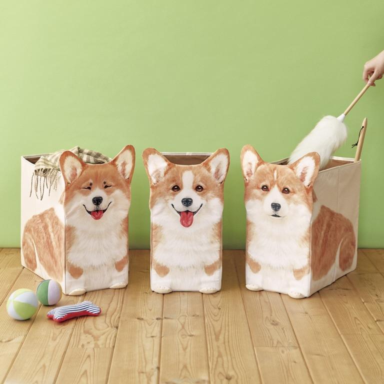 日本激安預購 乖乖坐好哥基犬收納箱 Sitting Corgi Storage Box 預購 Carousell