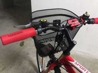 Cheap mountain bike