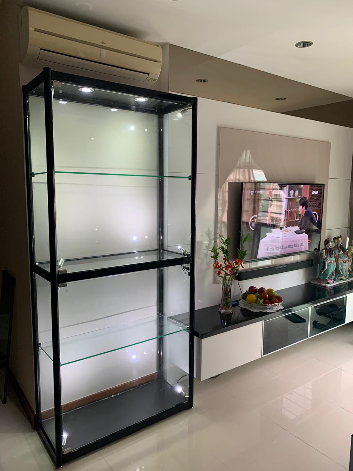 Sg display sales cabinet