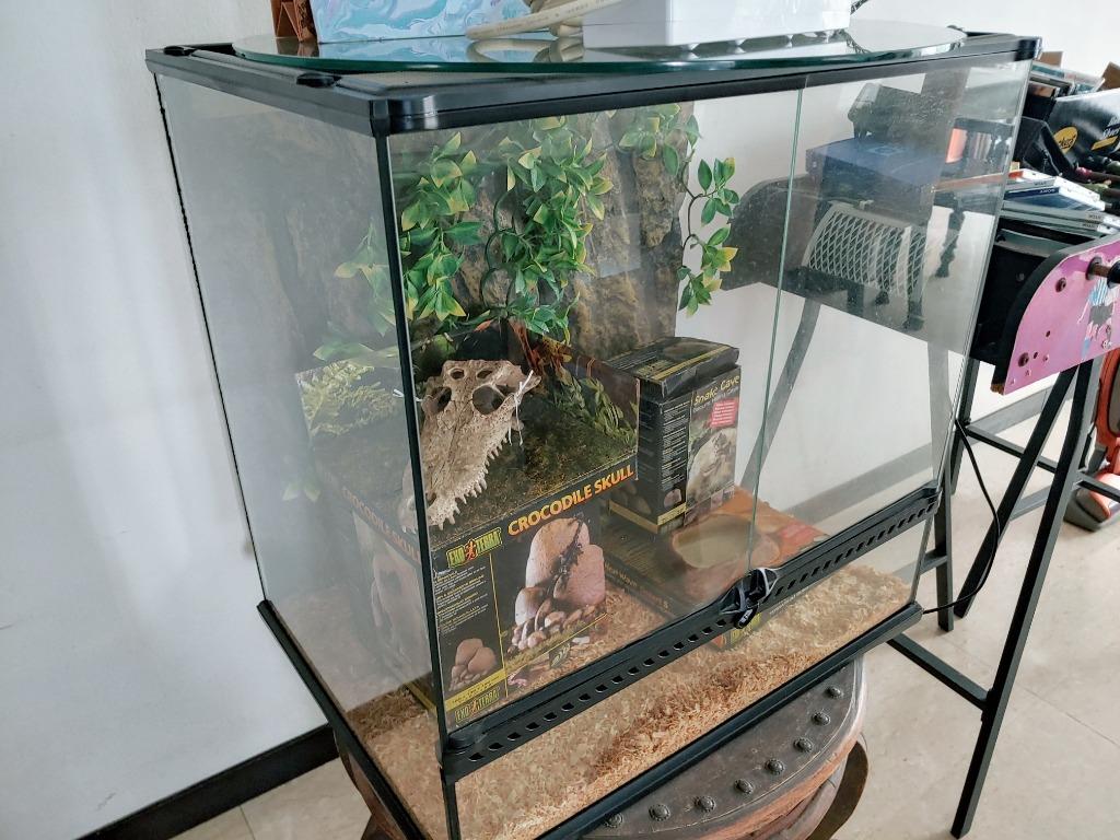 Exo Terra Terrarium Medium Tall Pet Supplies For Small Animals Pet Accessories On Carousell