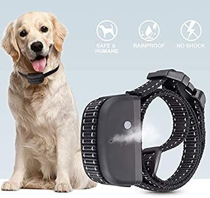 citronella dog collar