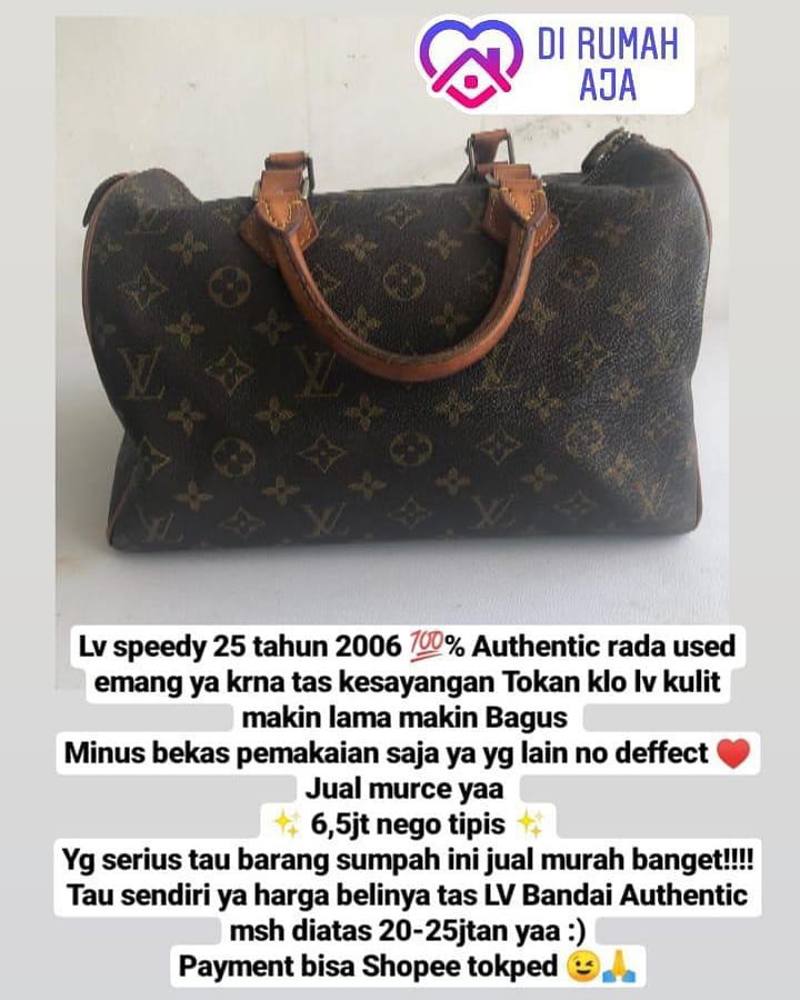 Jual Tas Louis Vuitton Speedy 25 Original Authentic Second