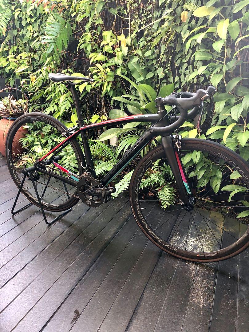 Sworks amira sales