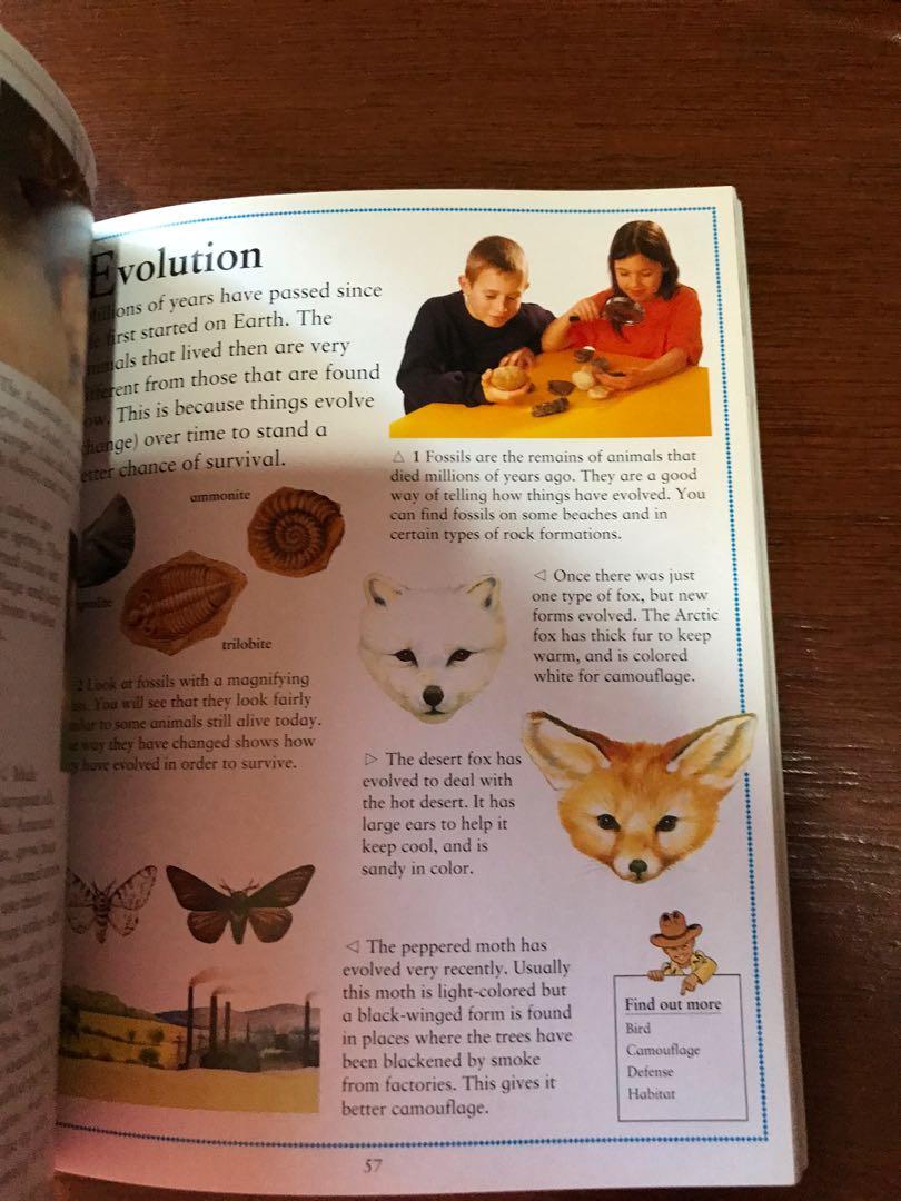 The Little Animal Encyclopedia Book, Hobbies & Toys, Books & Magazines,  Children's Books on Carousell