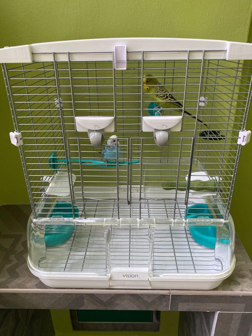 vision s01 bird cage
