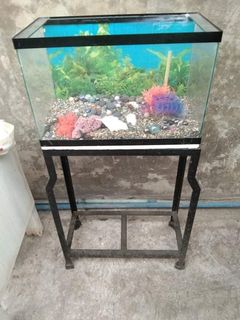 (Category: ) located in . Submitted by shilohg (Listing ID 1015524352, Image 1). Description: .
