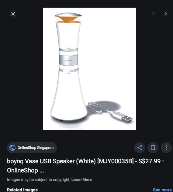boynq vase usb speaker