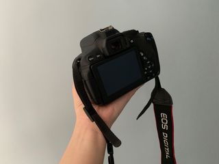 （分類：）位於 。 由 Appletree. 提交（商品編號 1015541118，圖片 1）。簡介： 。