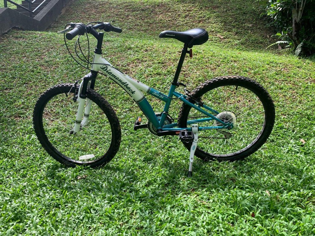 diamondback tess 24 green