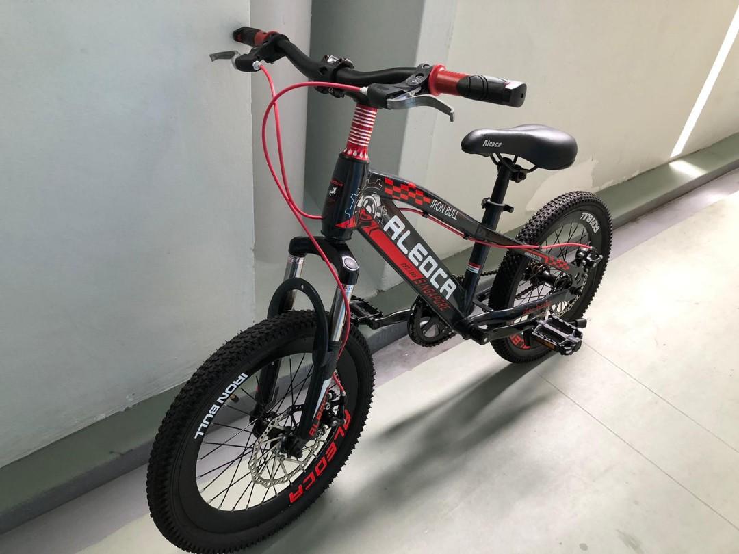 Kid mountain bike 18\
