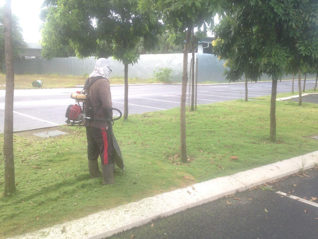 Potong Rumput Murah Services Others On Carousell
