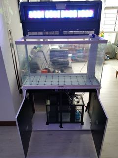 (Category: ) located in . Submitted by jiayong83 (Listing ID 1015618707, Image 1). Description: .