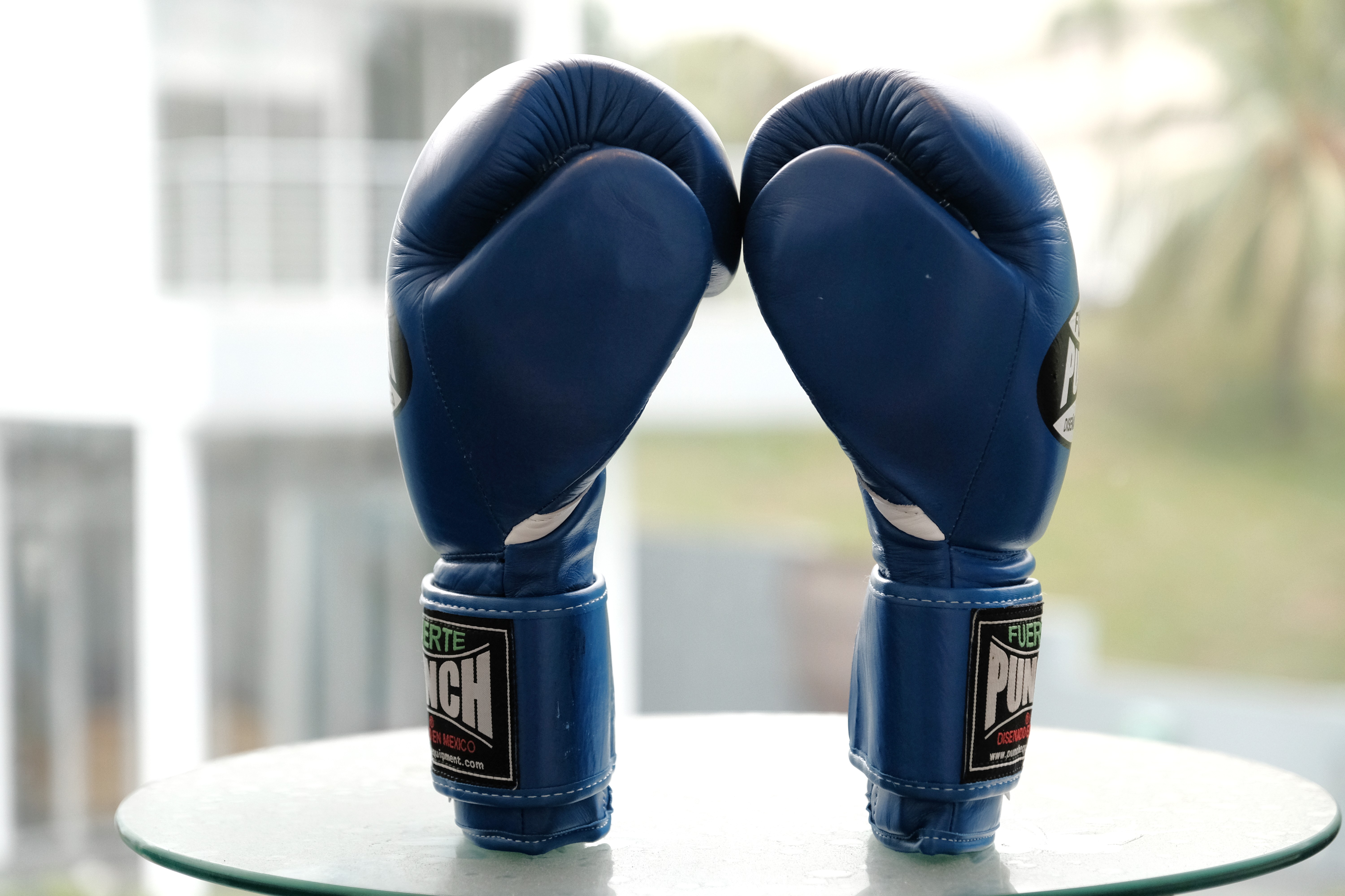 Punch Equipment Fuerte Ultra Boxing Gloves Sports Equipment